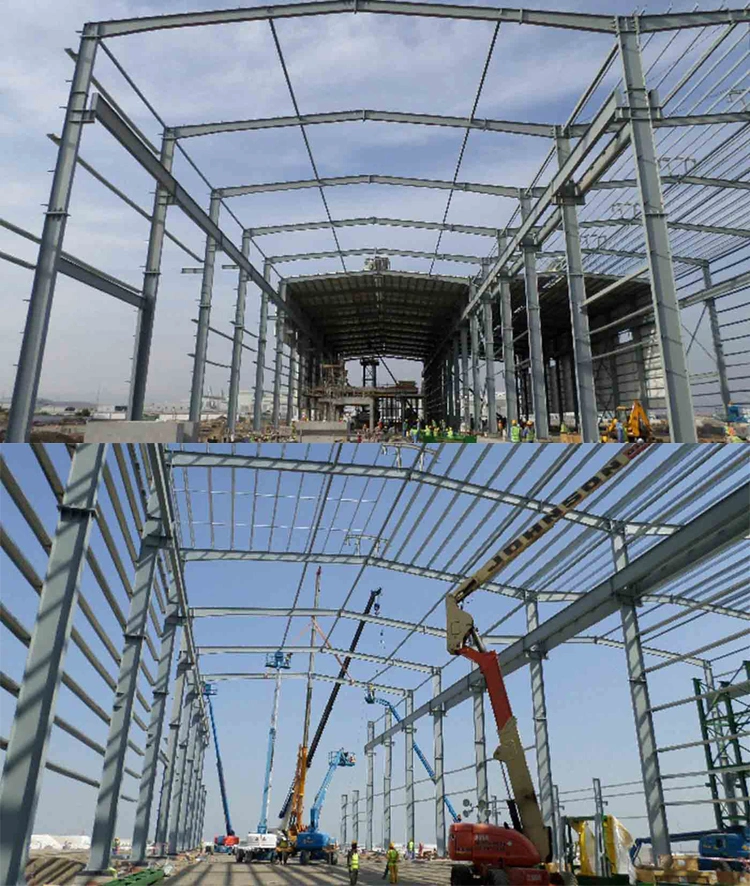 China Low Cost Prefabricated Light Steel Frame Construction Structure Chicken Poultry Farm Prefab House