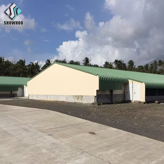 Automatic Steel Structure Poultry Farm Shed Design Modern Chicken House