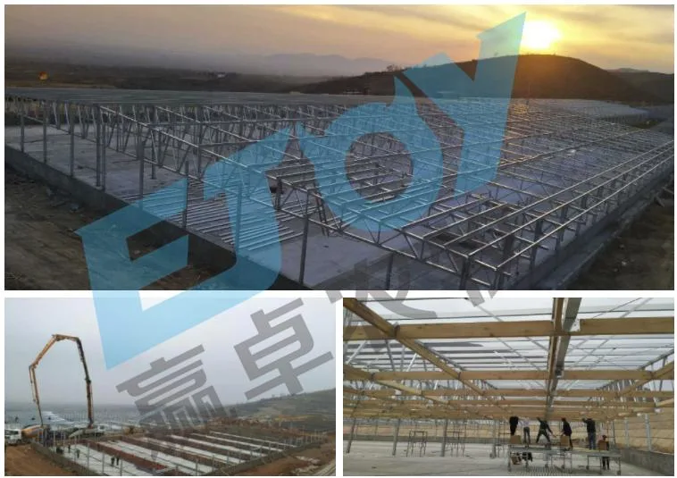 One-Stop Steel Structure Poultry Chicken House