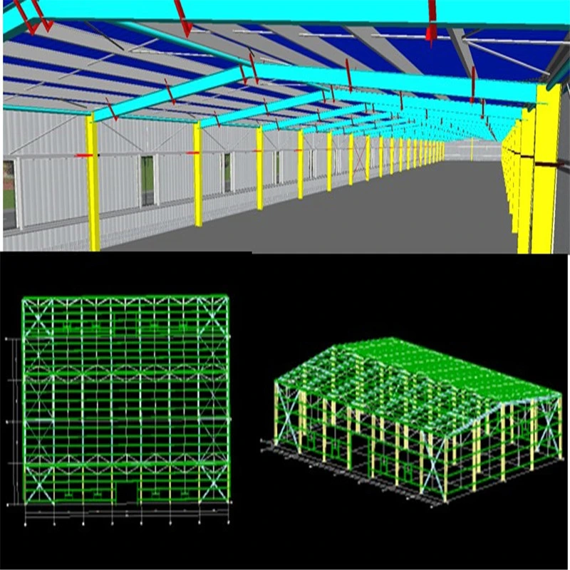 One-Stop Steel Structure Poultry Chicken House