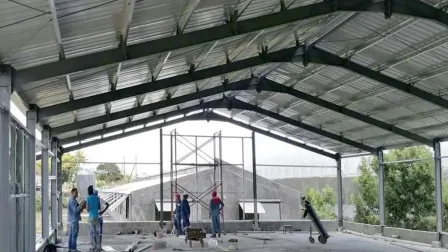 Automatic Steel Structure Poultry Farm Shed Design Modern Chicken House