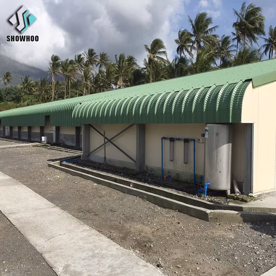 Automatic Steel Structure Poultry Farm Shed Design Modern Chicken House