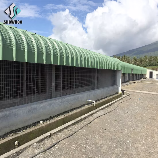 Automatic Steel Structure Poultry Farm Shed Design Modern Chicken House