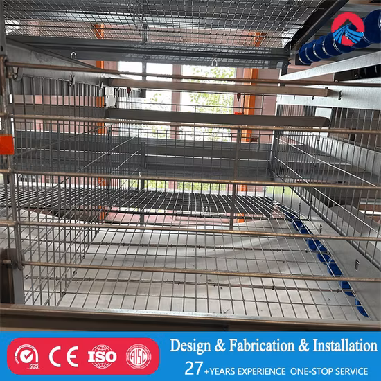 シングルソーススチール構造の鶏小屋